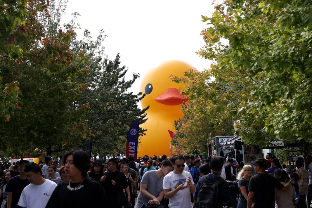 Kente gelen turistler, onu görünce gözlerine inanamadı! Parmakla gösterip endişeyle baktılar 10